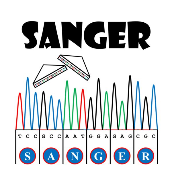 Sangerism - Sanger Sandwich Thumbnail